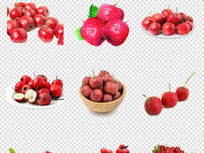 美味山楂新鲜水果红色山楂片PNG免抠素材图片 模板下载 28.64MB 食物饮品 大全 生活工作