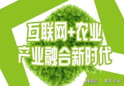 重庆万州创新“互联网+农业”模式