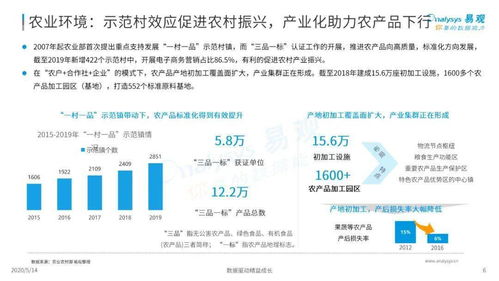 2020年中国生鲜电商发展情况行业稳步增长,资本投资更加理性